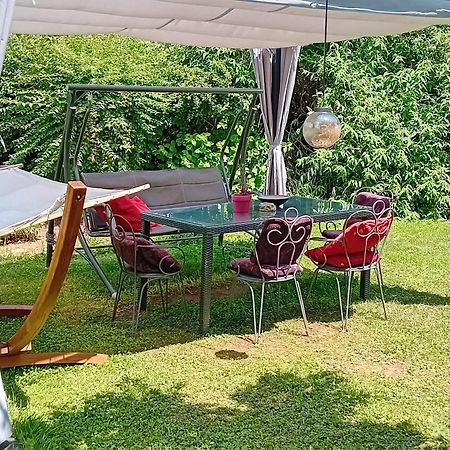 Camping Under The Walnut In Your Own Tent On A Shared Lot And Shared Bathroom Любляна Екстер'єр фото